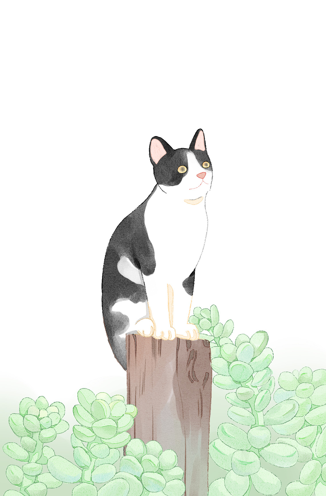 多肉和喵（一）（图ZMTQ3NTE0NDg0） - 创作习作 - 站酷设计师软趴趴lala原创素材 - 站酷ZCOOL