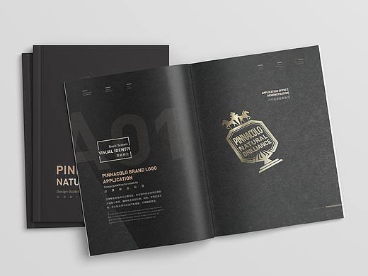 品尼高-欧式风格品牌VI设计