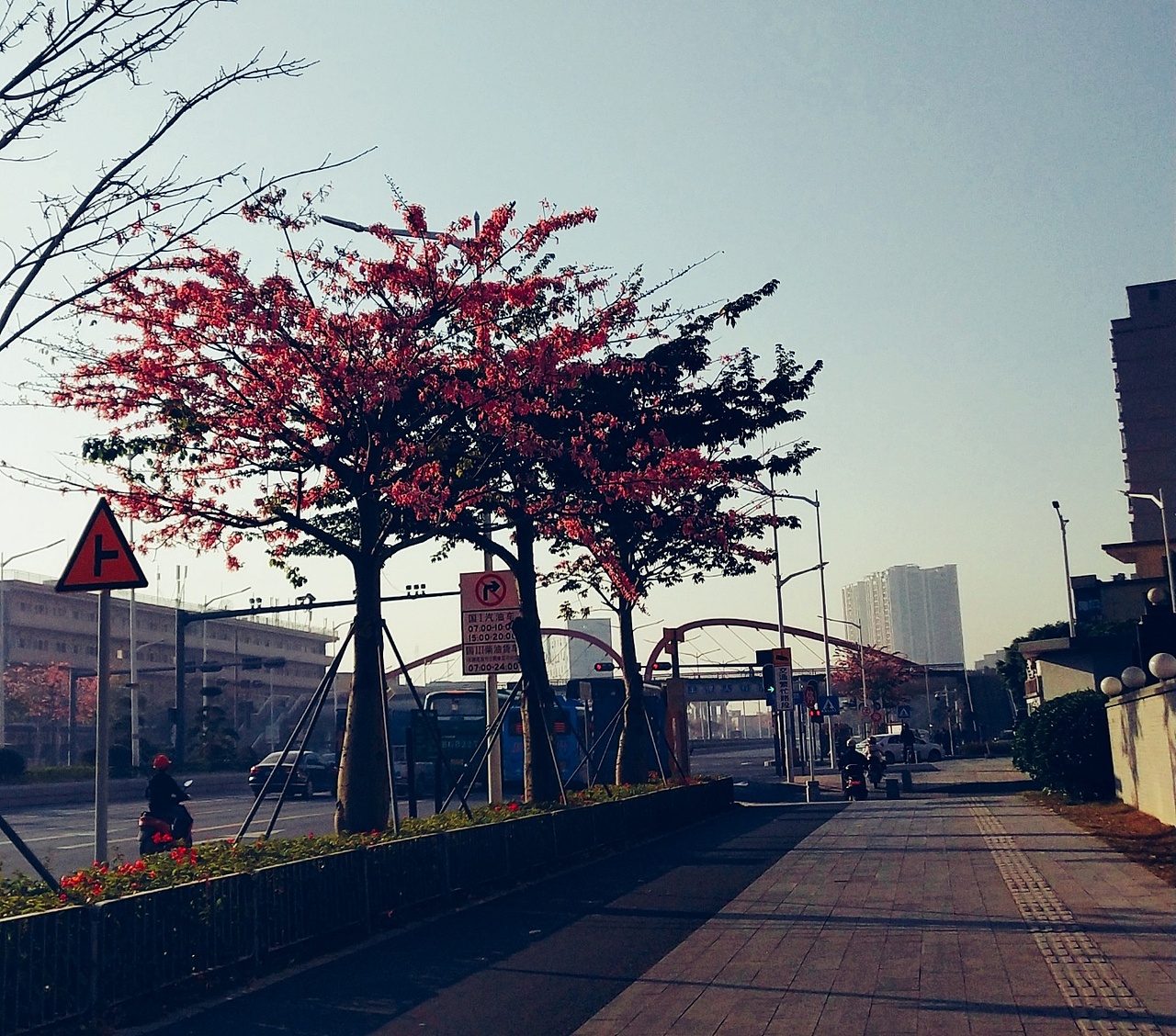 花-植 ❀2（图ZMjI4NzkwNDAw） - 产品摄影 - 站酷设计师紫月琉璃香原创素材 - 站酷ZCOOL