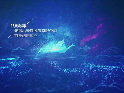 小天鹅品牌发展历程