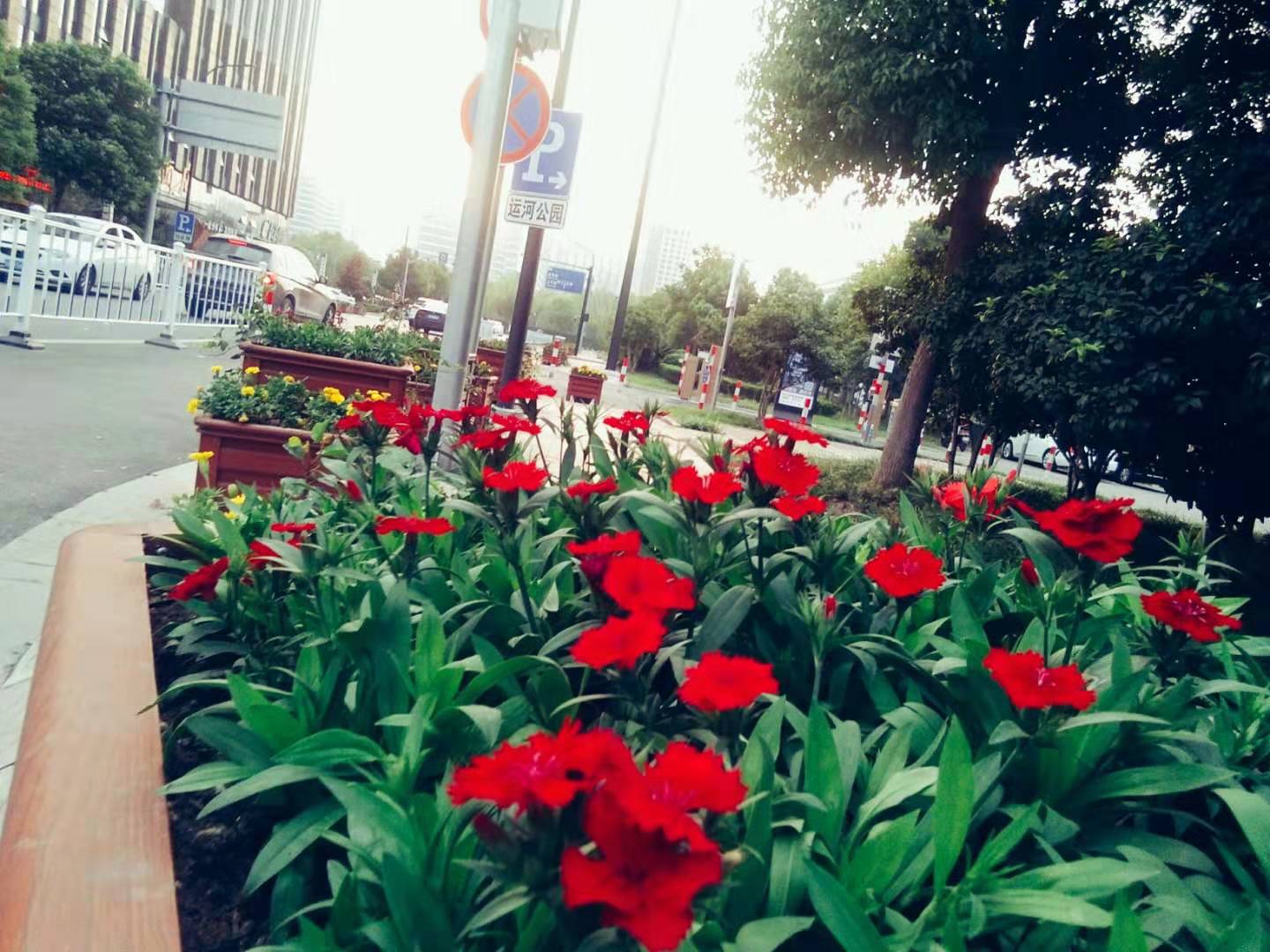 控局的个人主页（背景预览） - 主页背景设置 - 站酷设计师控局原创素材 - 站酷ZCOOL