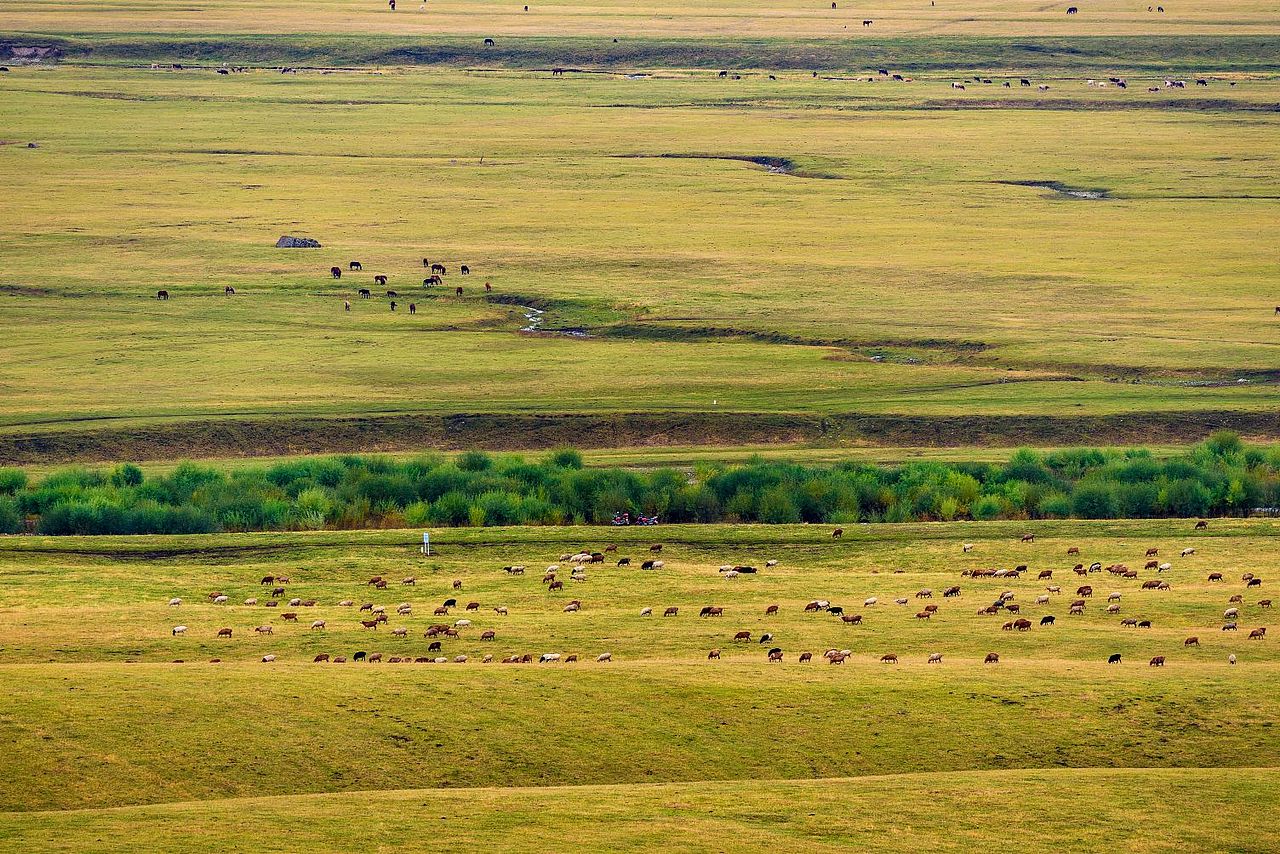 新疆那拉提空中草原（图ZMzU5NjY5NTc2） - 风光摄影 - 站酷设计师摄影师雪山飞兔原创素材 - 站酷ZCOOL