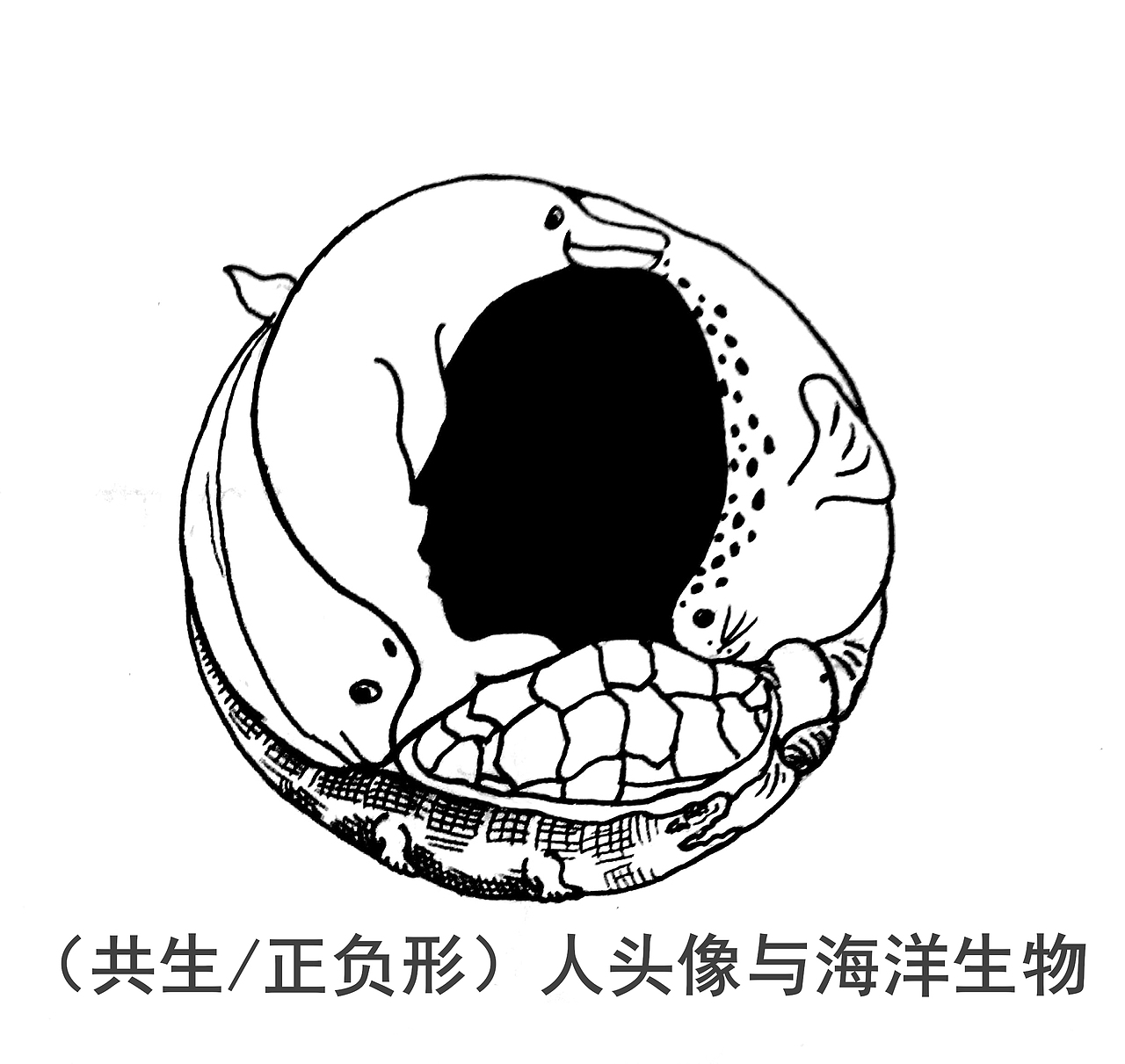 同构置换,异影,共生,创意联想青岛/插画师/3年前/169浏览夏丶兮