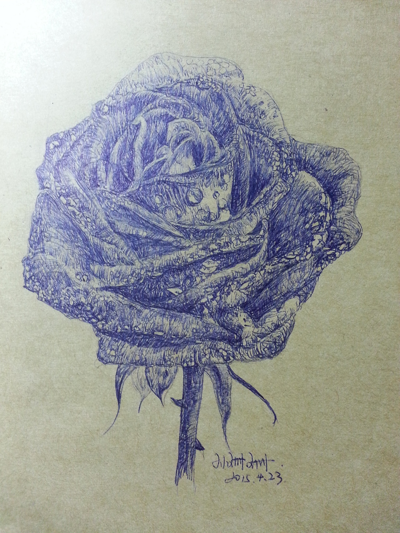 临自oy的蓝色妖姬,一点都不精细,其实,不会画圆珠笔,但是,我会继续努力的,