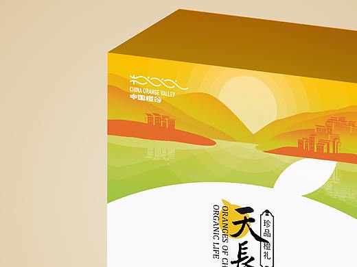 中国橙谷精品橙九颗装包装设计