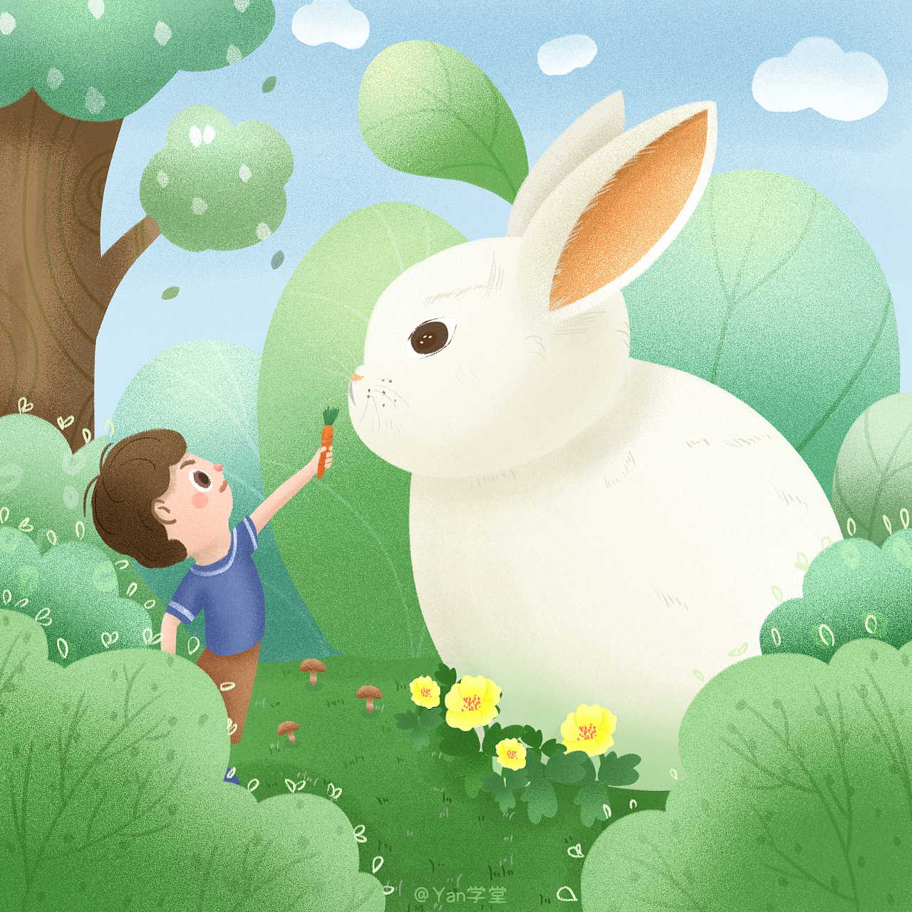 插画《安哥拉巨兔》