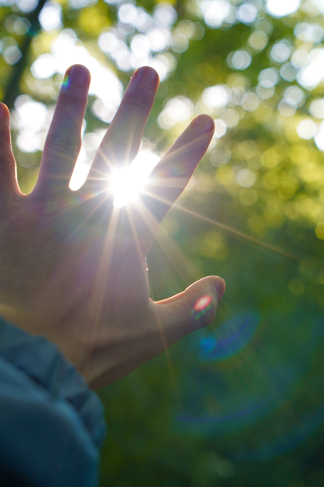 摄影光,记录光和自然