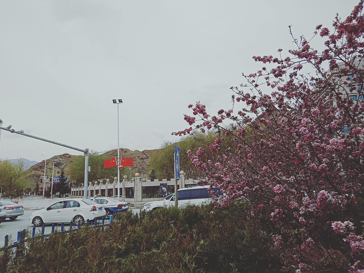 好看吗啊（图ZMTEzMzkxNDMy） - 产品摄影 - 站酷设计师ASD落原创素材 - 站酷ZCOOL