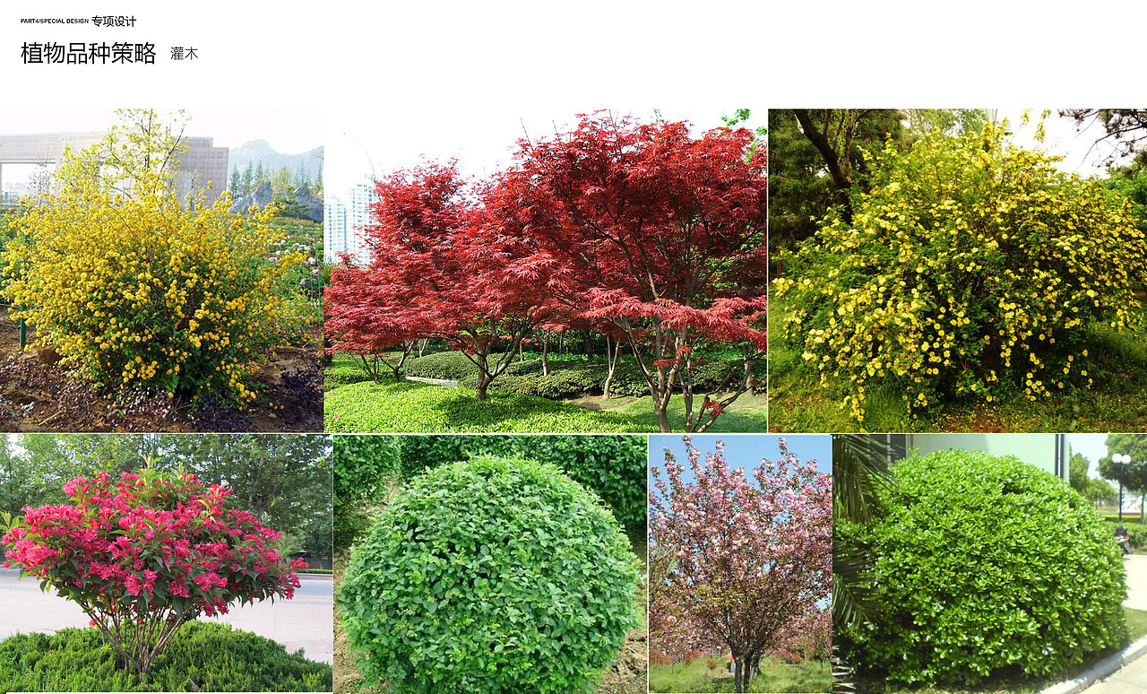 青年公寓景观设计