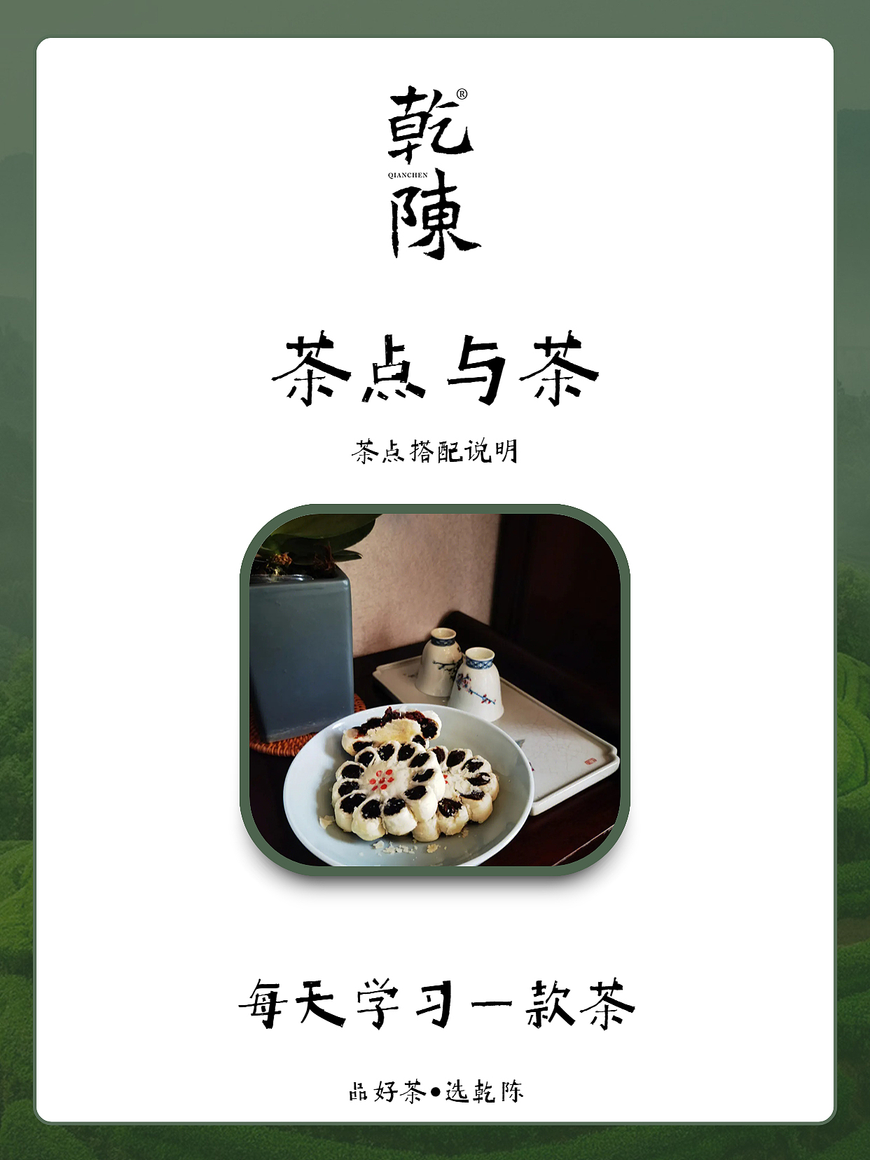 每日一款茶茶点知识