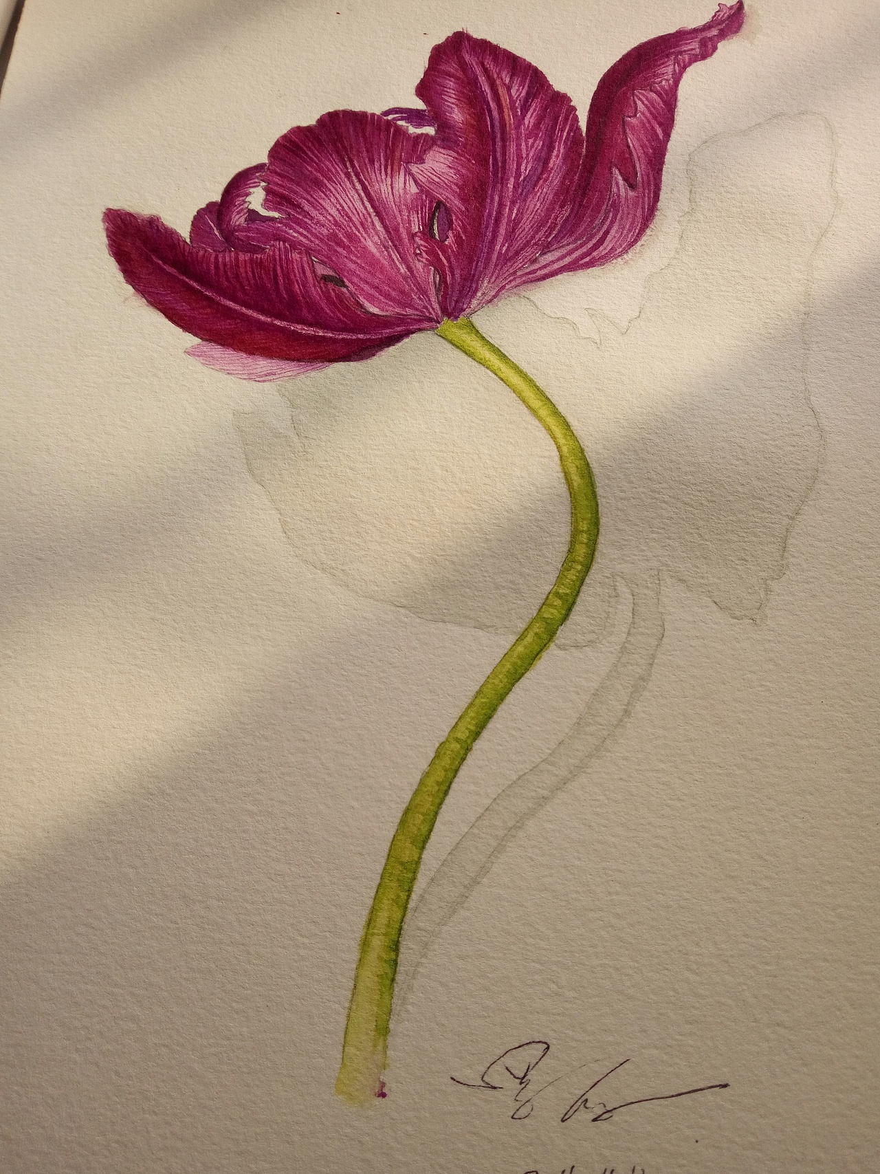 加上阴影,细节。用手机拍的,自然从窗口照进来的阳光,让画面很好看了一点。第一次完整的画水彩,看着完成图,挺有动力的,哈哈