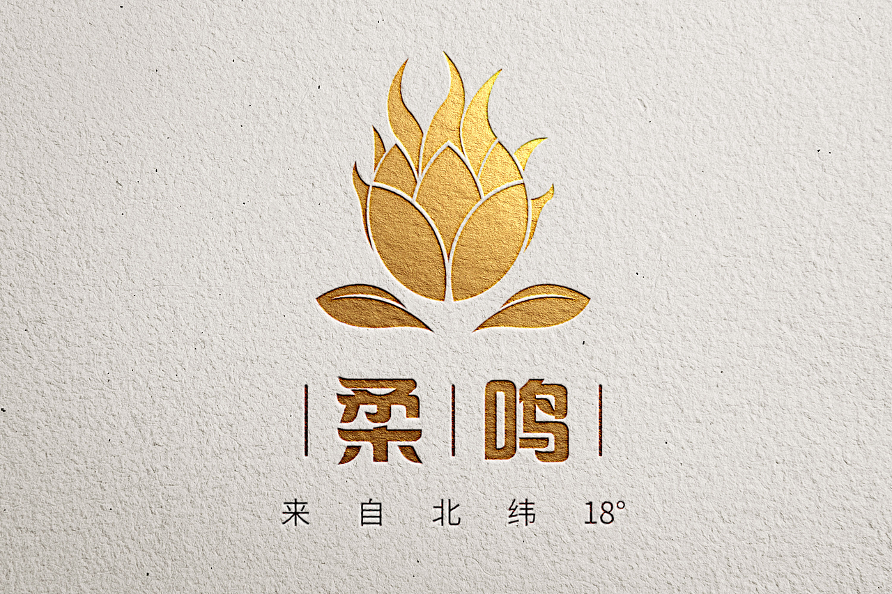 柔鸣火龙果LOGO方案（图ZMTI1NTkxMzQ0） - Logo - 站酷设计师黄大海原创素材 - 站酷ZCOOL