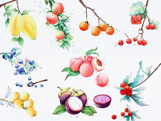 水果系列插画练习