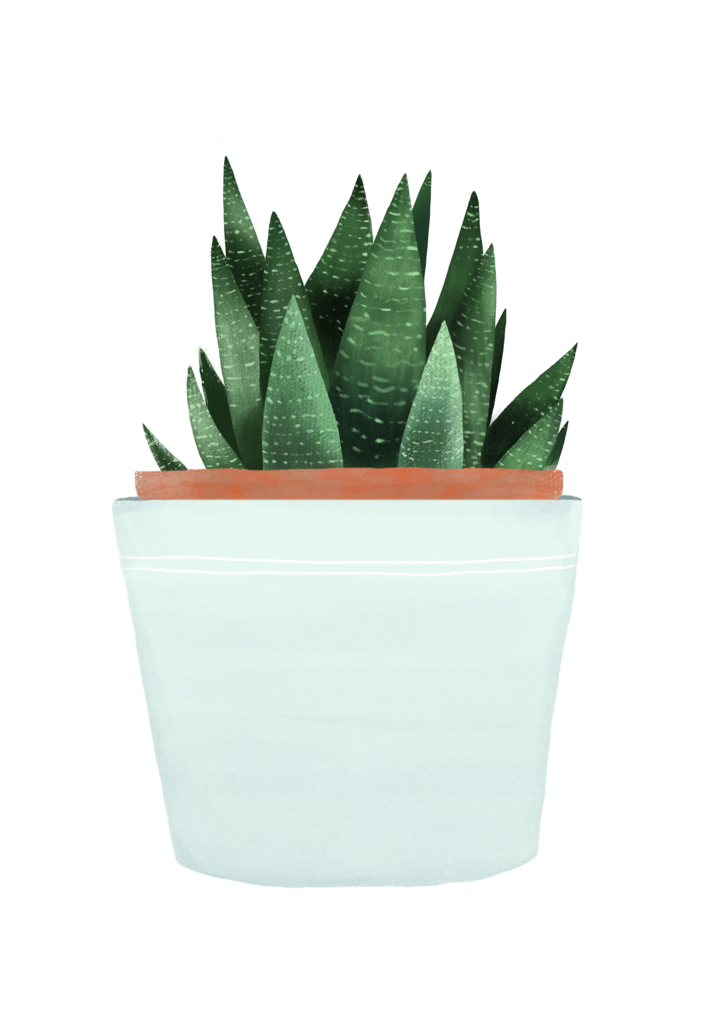 植物及物品的写实