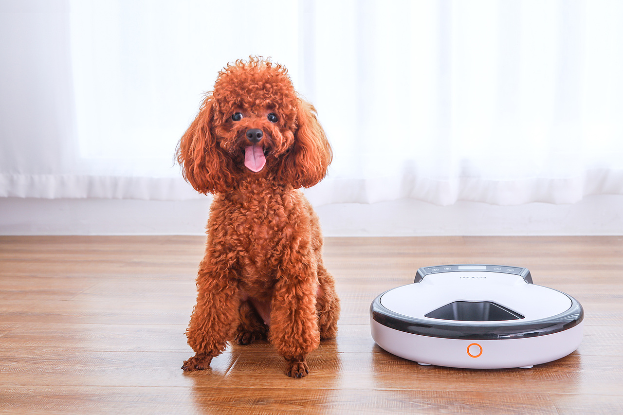 宠物智能喂食器