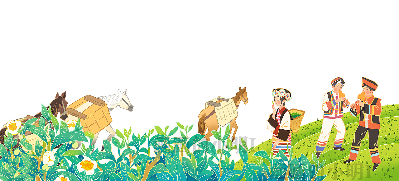 云南老马帮——“马上有茶”包装插画