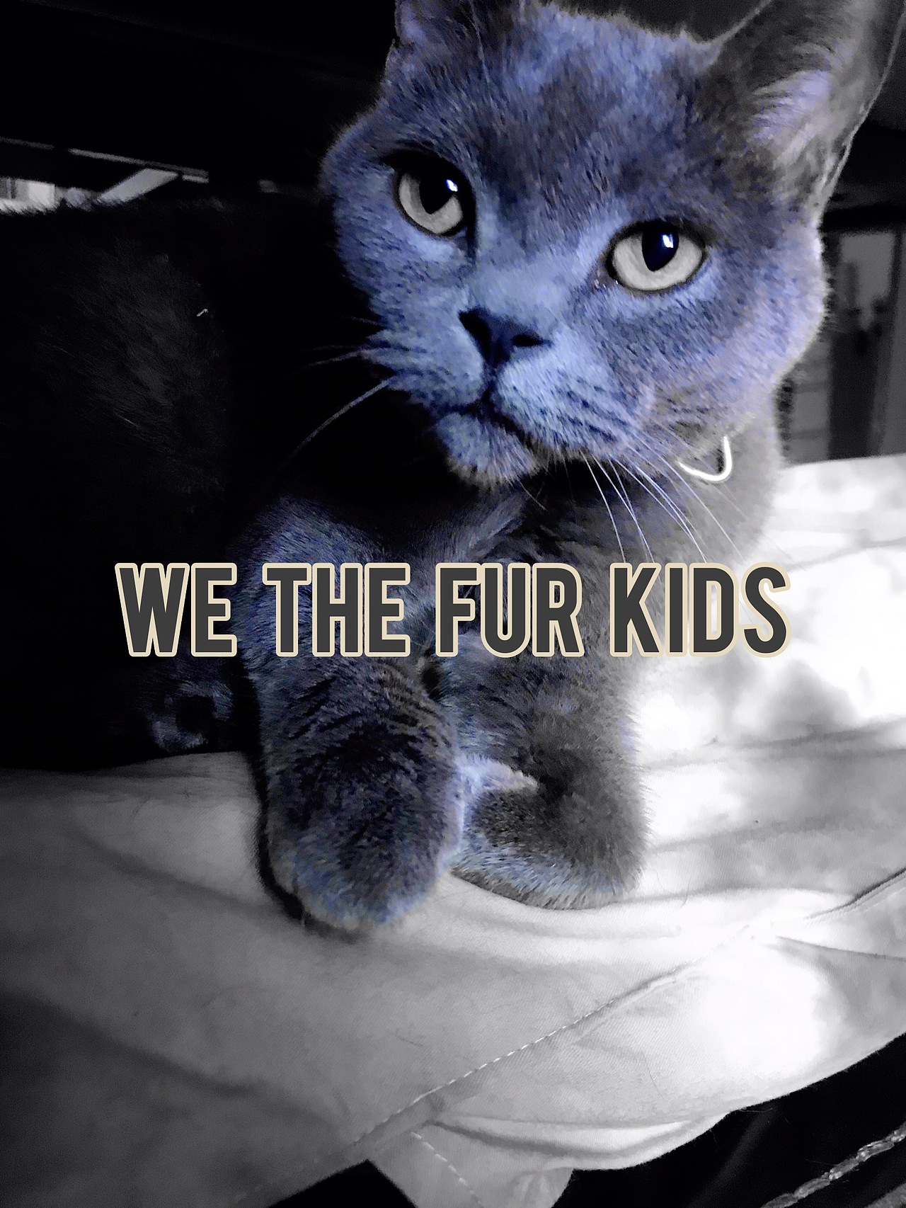 #单色调眼球artist