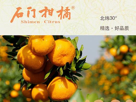 平面设计作品(网页设计)