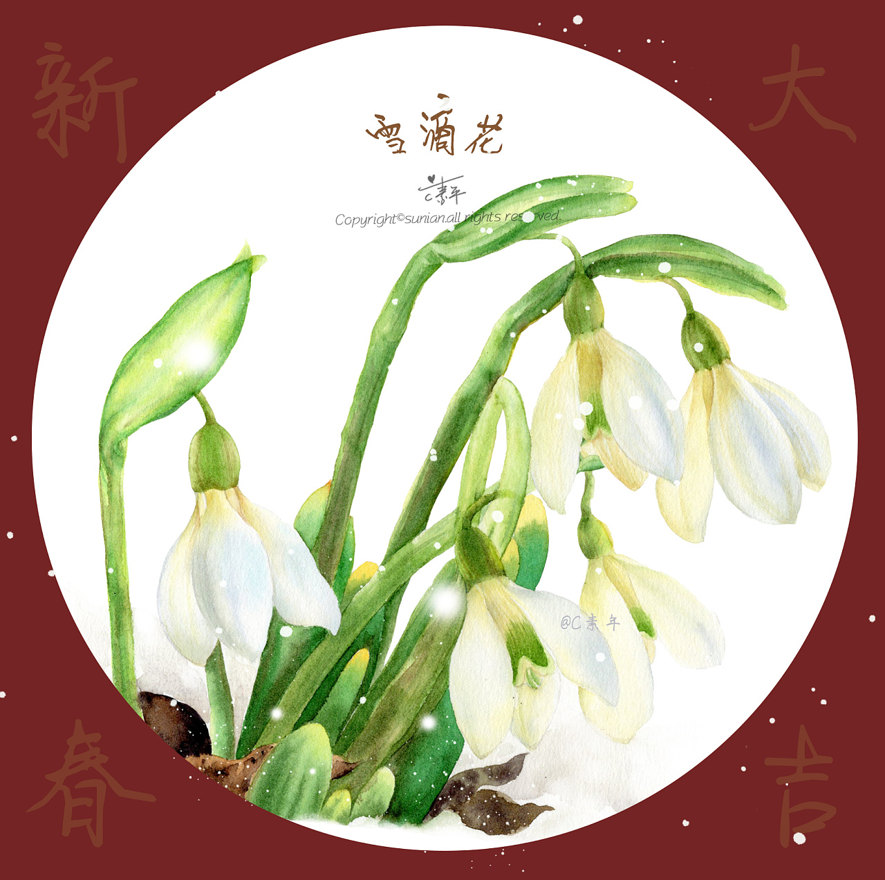 雪滴花花语:希望,勇往直前!