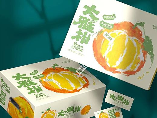 ｛原创｝大雅柑水果礼盒手绘插画包装设计