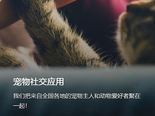 Pet Lover宠物社交app