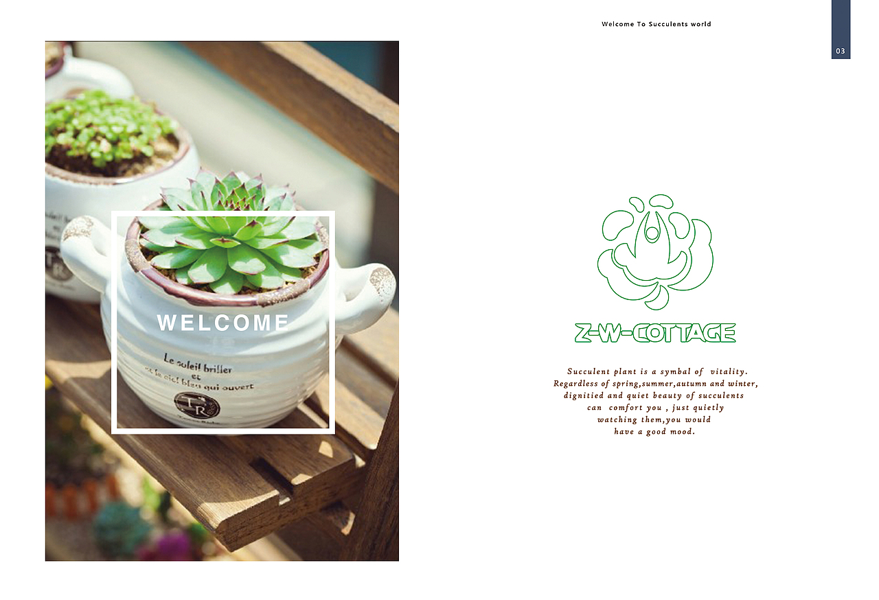多肉植物画册设计（图ZNTY4MDk4ODA=） - 书籍/画册 - 站酷设计师小小琦原创素材 - 站酷ZCOOL