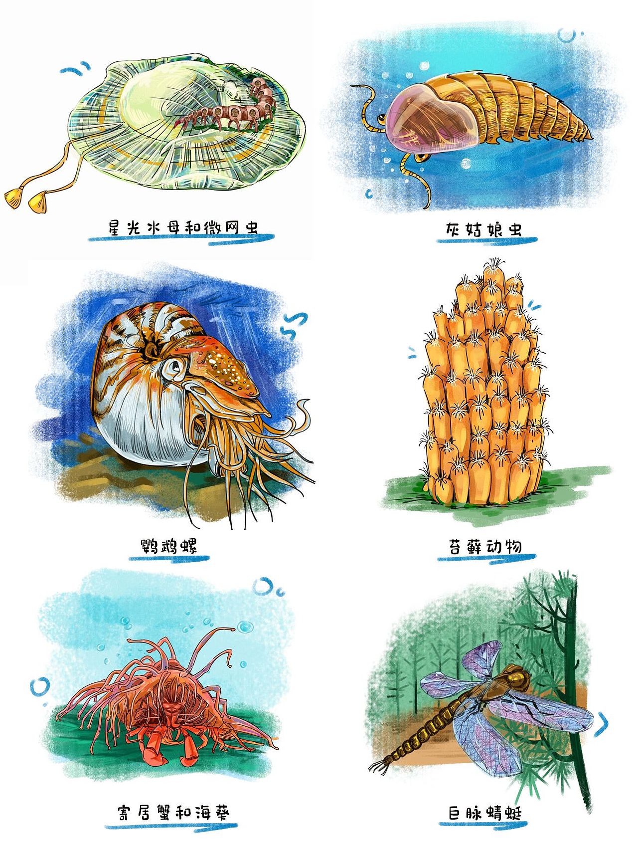 46亿岁的地球-生物多样的古生代（图ZMzY3MjE5ODE2） - 商业插画 - 站酷设计师点琢工作室原创素材 - 站酷ZCOOL