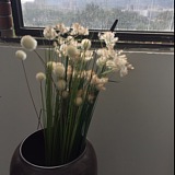 星铭泪的头像