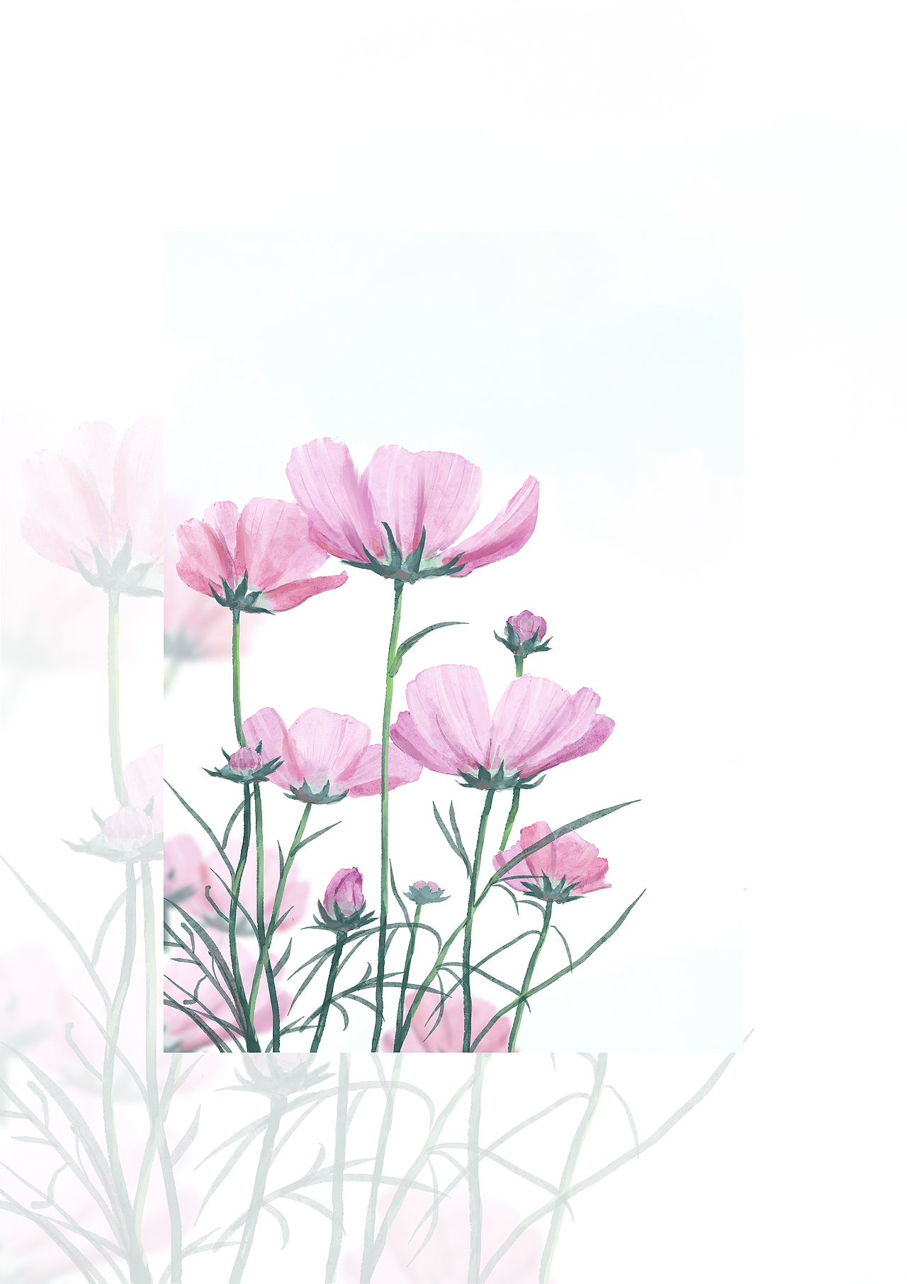 花卉-写生练习（图ZMjgxMzc5Mjcy） - 创作习作 - 站酷设计师萌猫半只原创素材 - 站酷ZCOOL