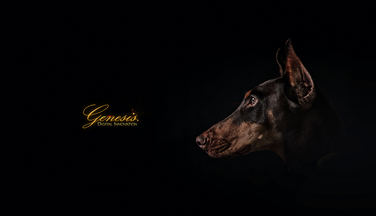 Clean【动物摄影师何某某个人作品12】