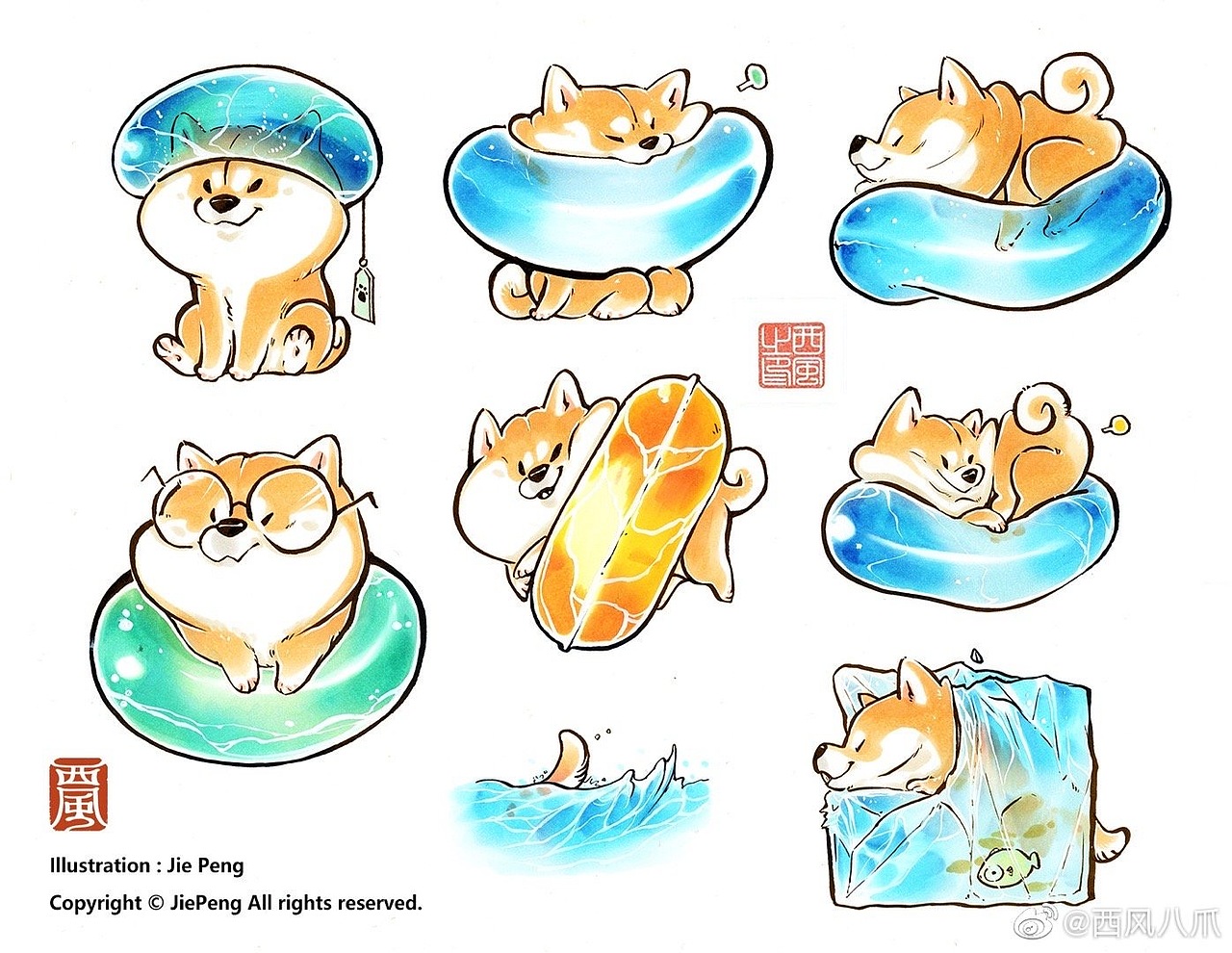 《阿柴枸杞》百犬小合集