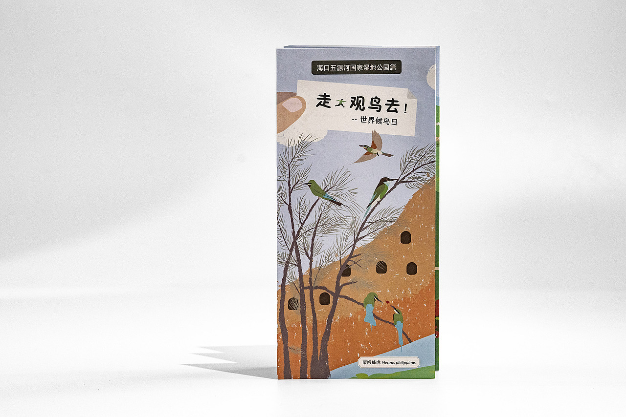 世界候鸟日-观候鸟折页及海报