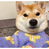 二志的头像