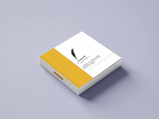 胖球队画册 效果图
