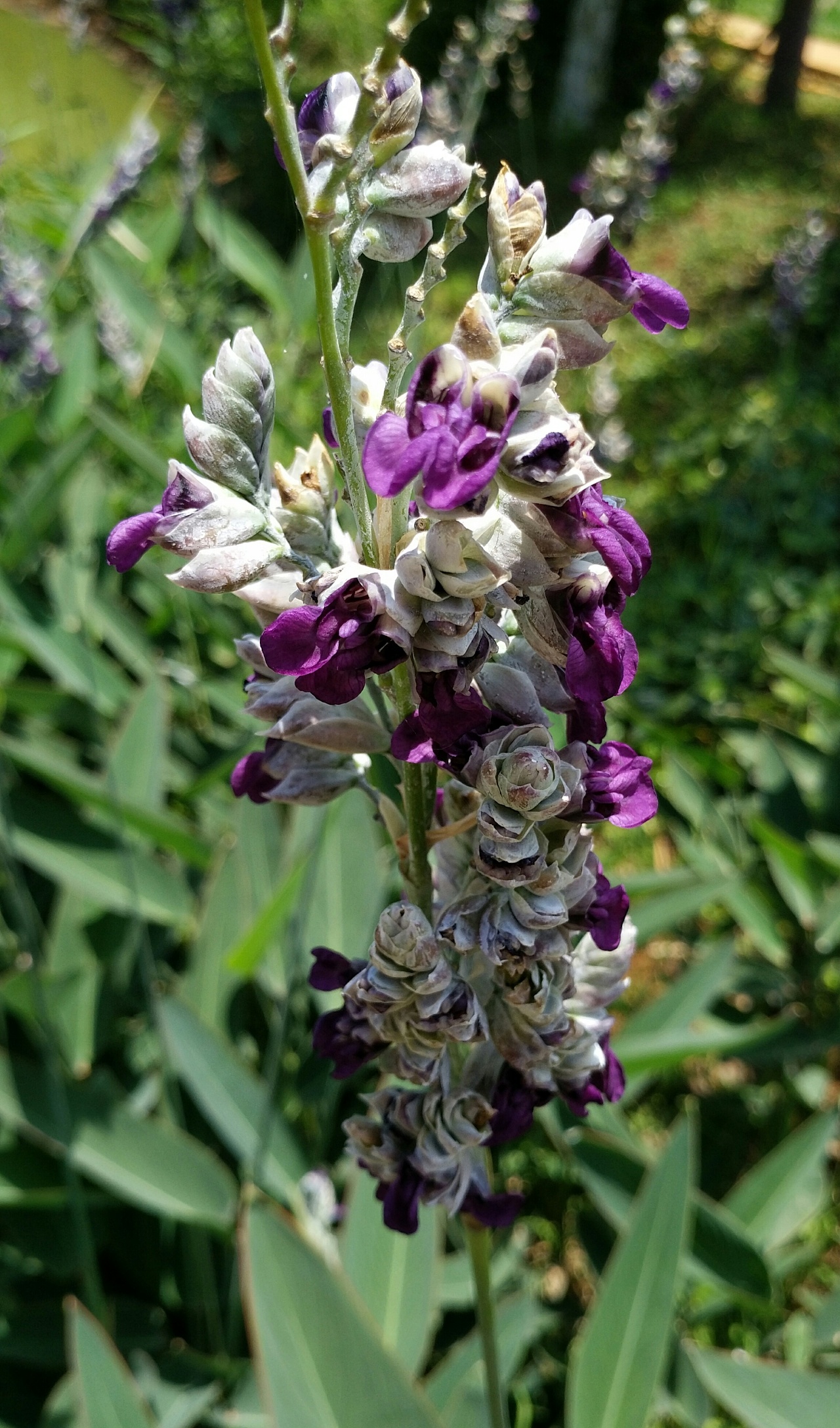 新手拍摄|摄影|风光|雨雪纷霏 - 原创作品 - 站酷 (zcool)