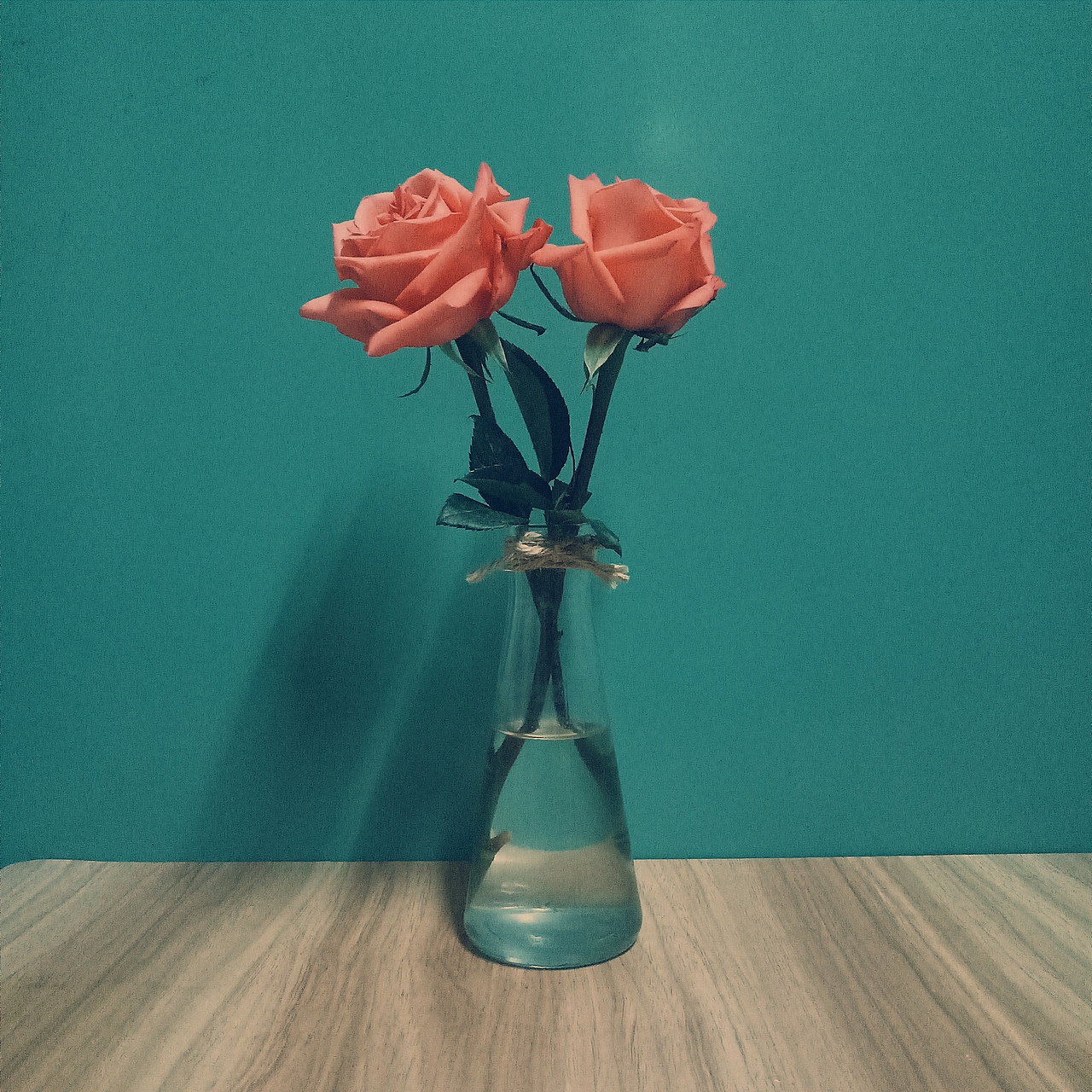 瞎拍瞎排的小美好