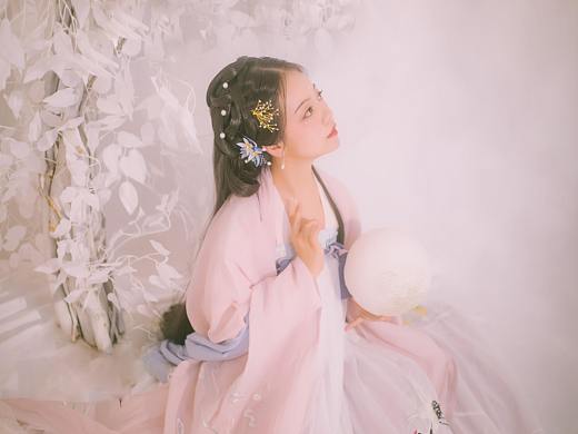 月宫仙子