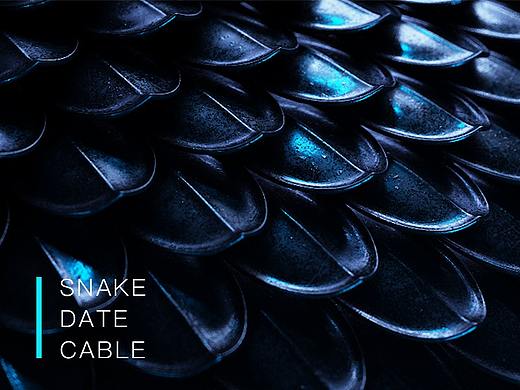 c4d & OC 蛇像数据线三维产品视频