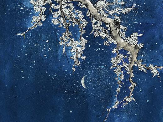 花开花落，云卷云舒。——插画手绘练习