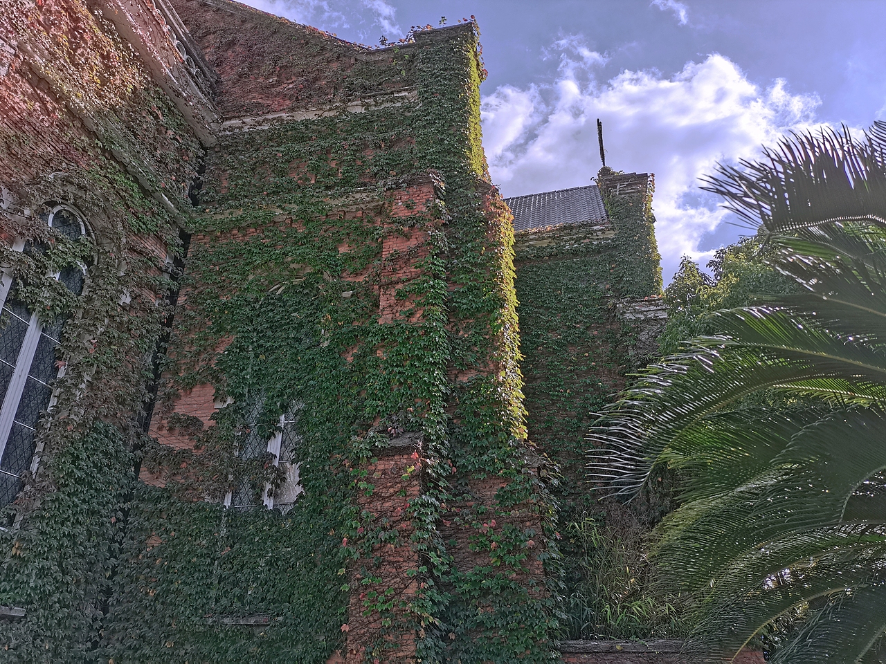 奔跑才会有风（图ZMjI5ODQ3MDY4） - 风光摄影 - 站酷设计师Z79325822原创素材 - 站酷ZCOOL