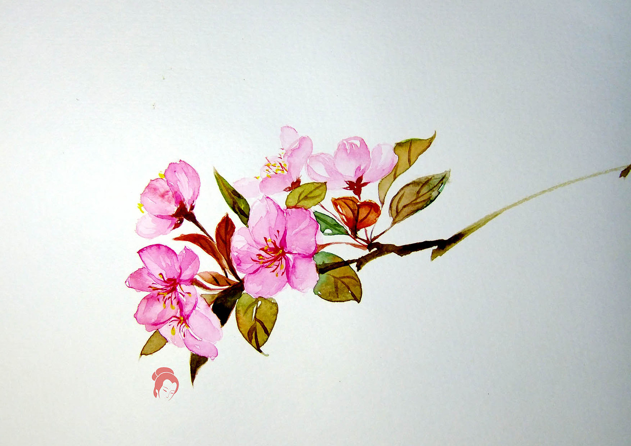 逸水花----（水彩，花鸟，浪漫，小写意，半写实，人物）（图ZMzAxNjg5ODQ=） - 创作习作 - 站酷设计师逸语阁原创素材 - 站酷ZCOOL