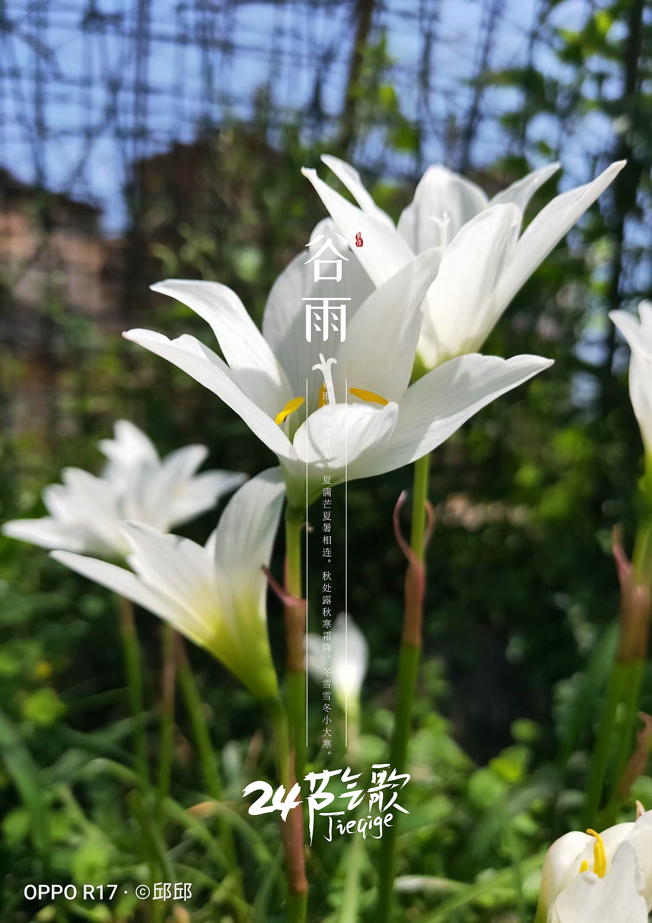 24节气之镜头下（图ZMjYzNTM2MzI0） - 人文/纪实摄影 - 站酷设计师杞子呆呆原创素材 - 站酷ZCOOL
