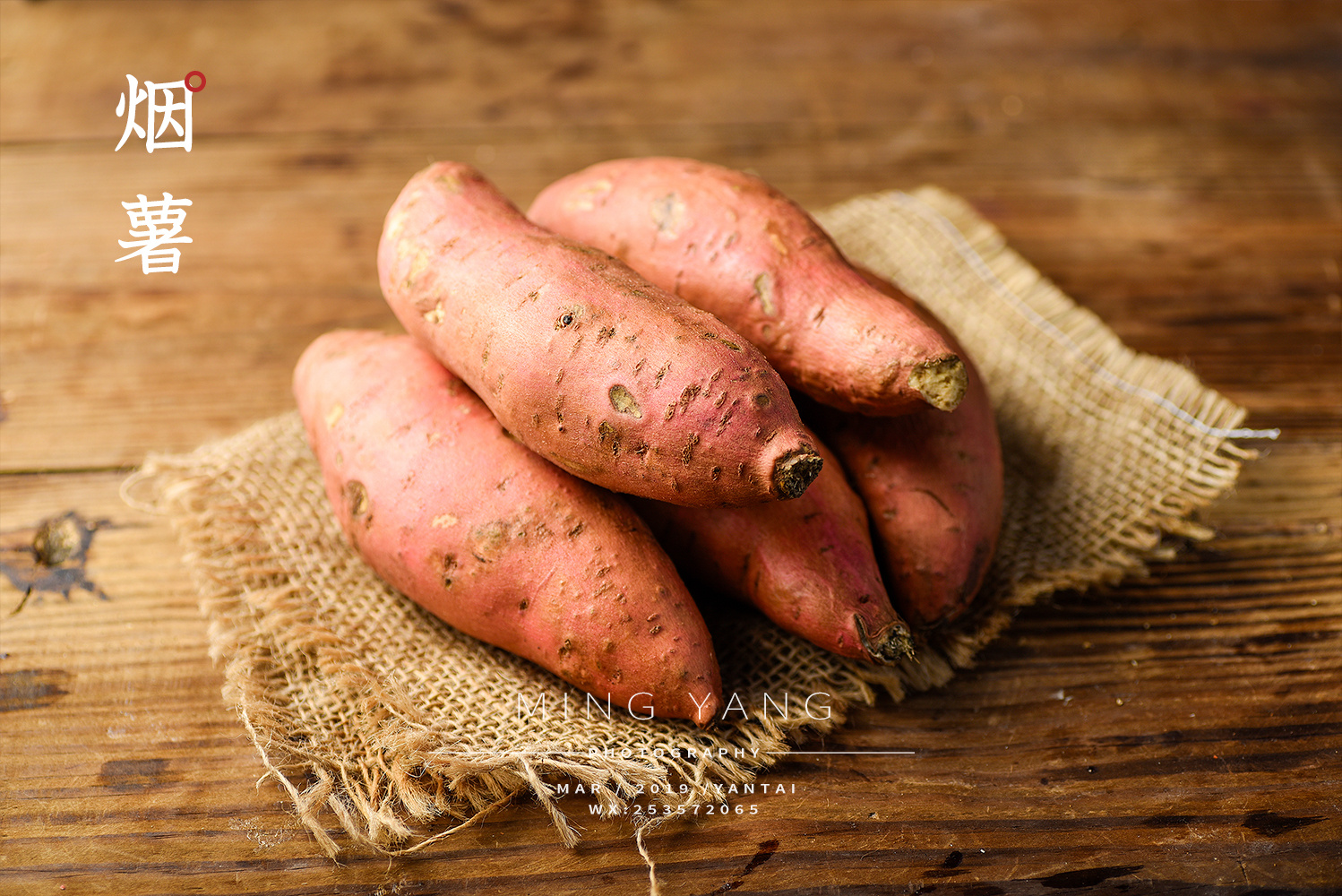红薯 - 鹤壁市金满园薯类种植农民专业合作社