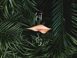 导视