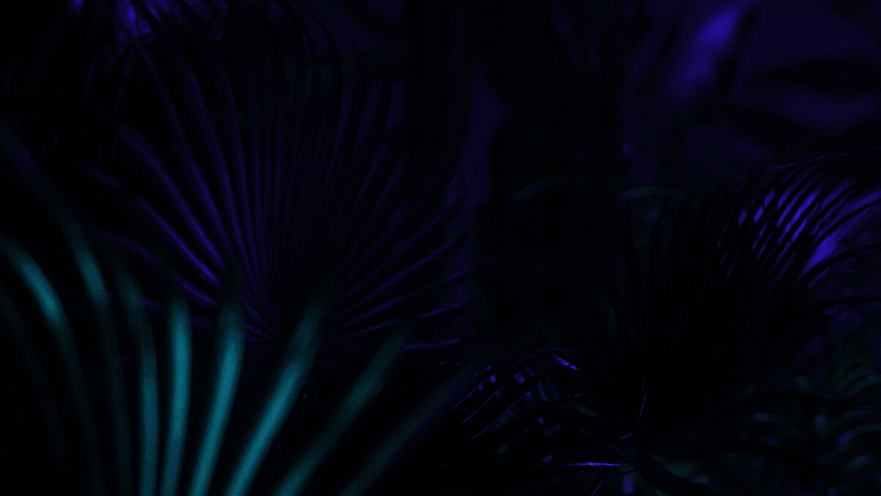 OPPO Reno2 2F/Z（图ZMTg1MzExMzEy） - 动画/影视 - 站酷设计师XZL_VICTOR原创素材 - 站酷ZCOOL