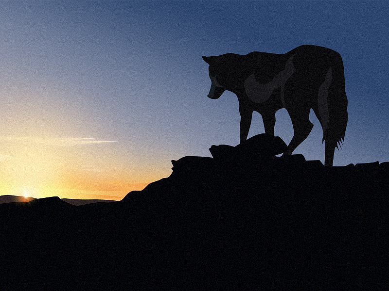 从插画里看世界