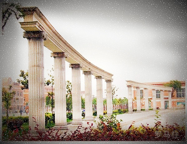 又是一年毕业季