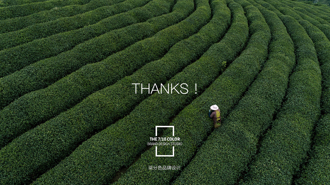 天竺三寺茶_茶品牌及茶包装设计（图ZMTMwNjgwMzc2） - 品牌 - 站酷设计师杨欣_柒分色设计原创素材 - 站酷ZCOOL