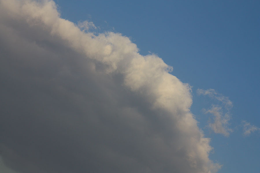 秋日午后 Donatello fratin' WALL-E