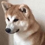 rivers_的头像